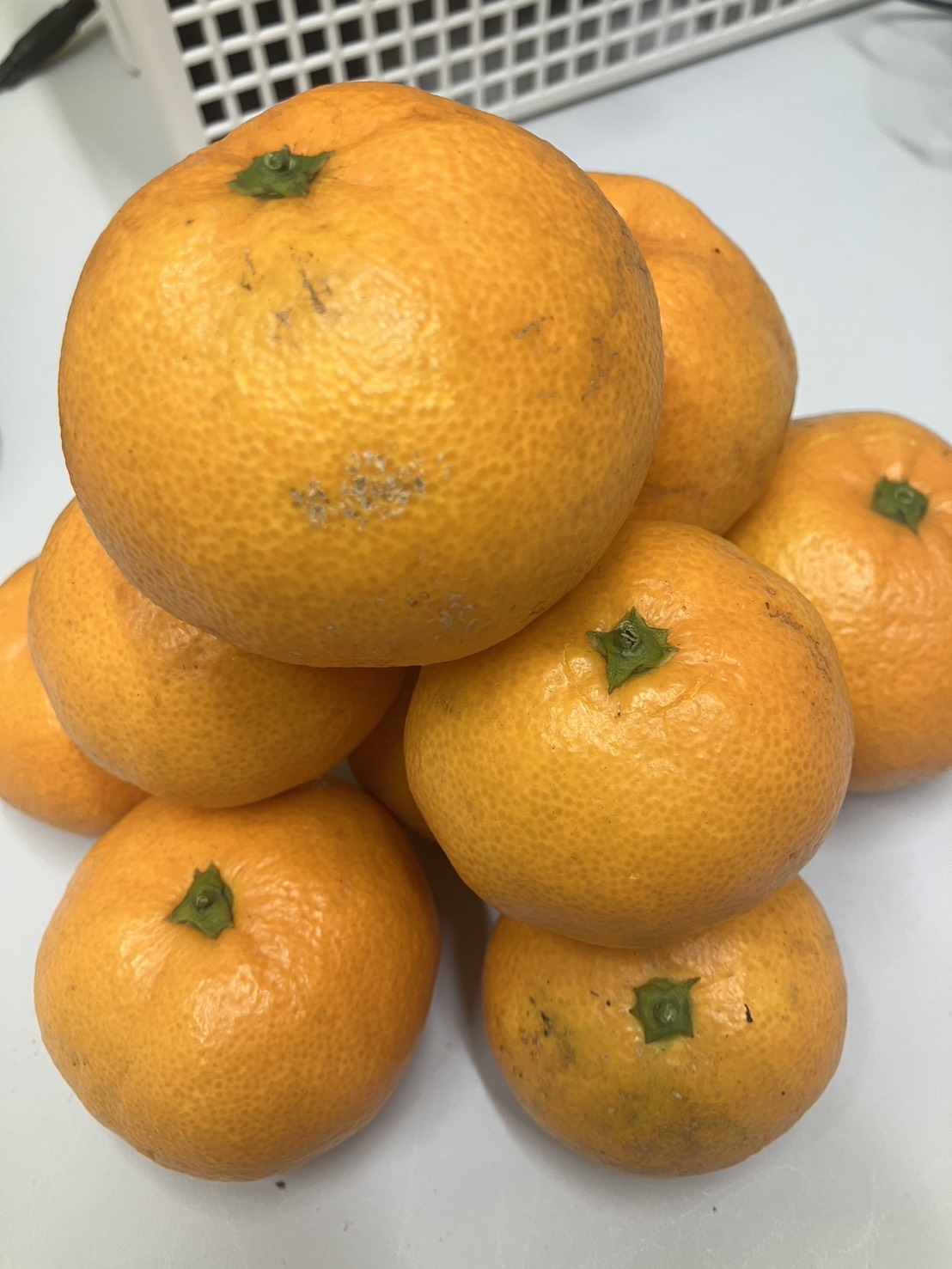 師走でごわす！